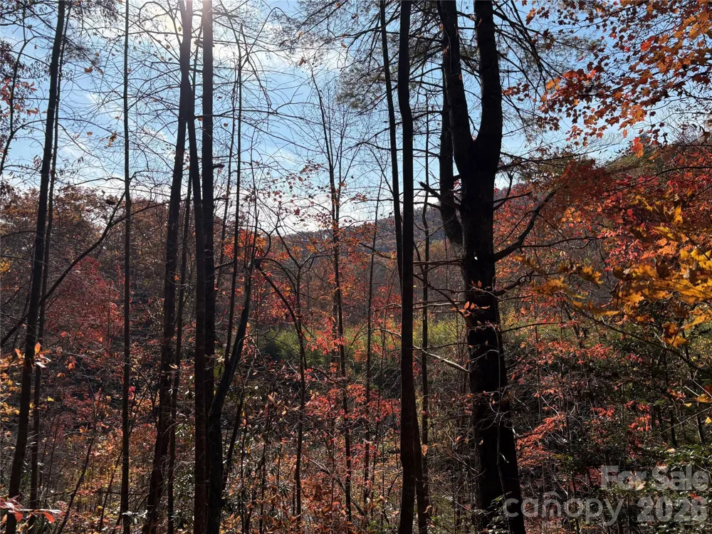 276 Cedar Creek Road Black Mountain, NC 28711