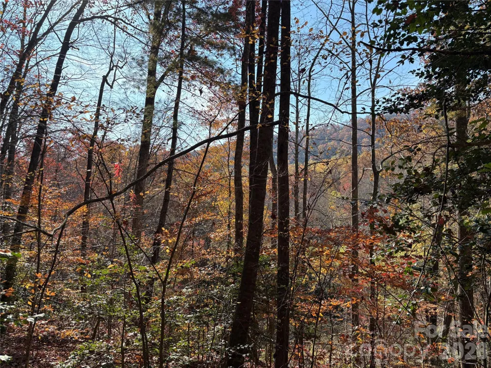 276 Cedar Creek Road Black Mountain, NC 28711