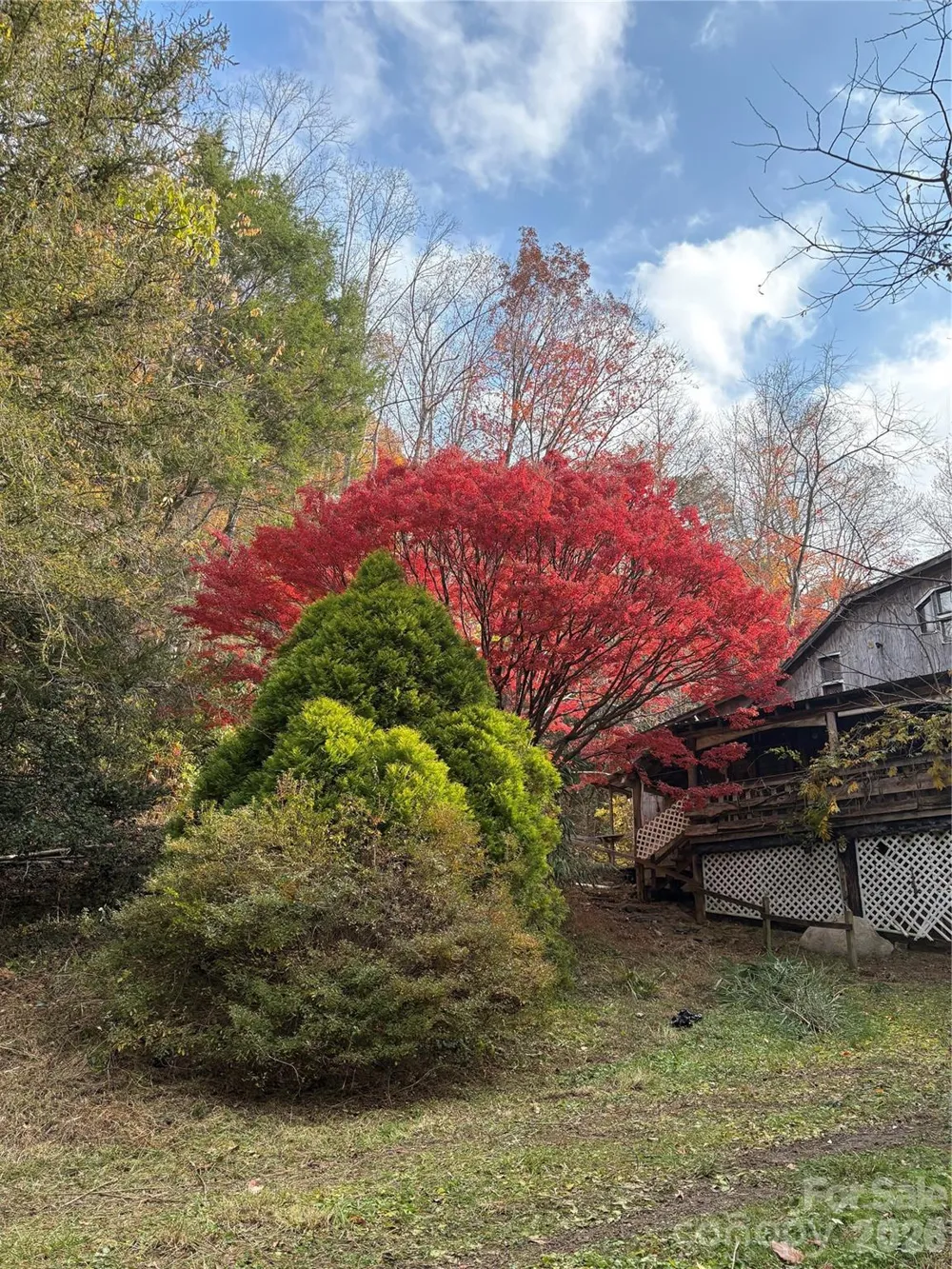 276 Cedar Creek Road Black Mountain, NC 28711