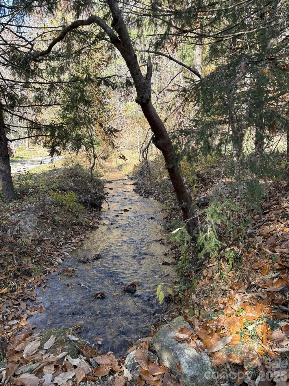 276 Cedar Creek Road Black Mountain, NC 28711