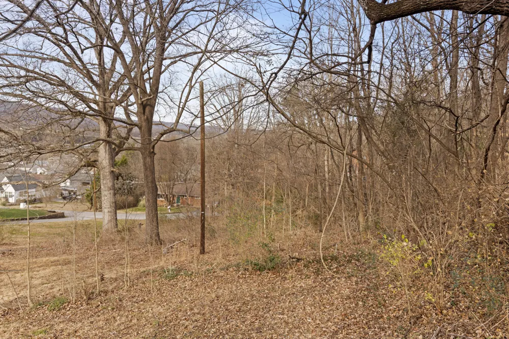 Orlando Dr. Red Bank, TN 37415