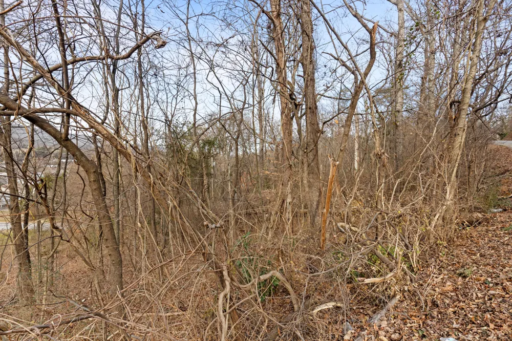 Orlando Dr. Red Bank, TN 37415
