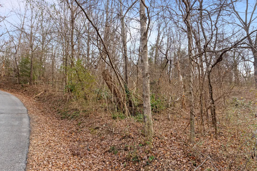 Orlando Dr. Red Bank, TN 37415