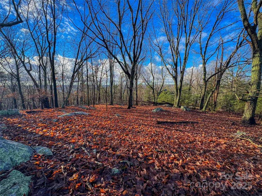 338 Sierra Trace Road Denton, NC 27239