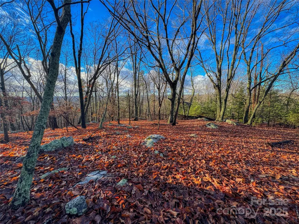 338 Sierra Trace Road Denton, NC 27239