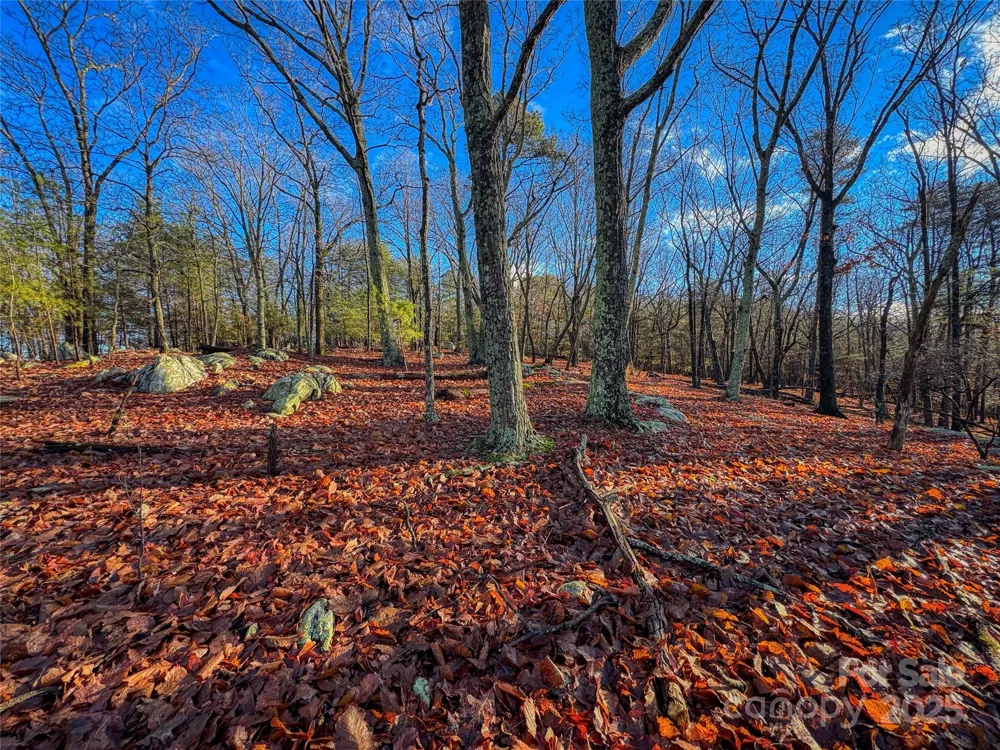 338 Sierra Trace Road Denton, NC 27239