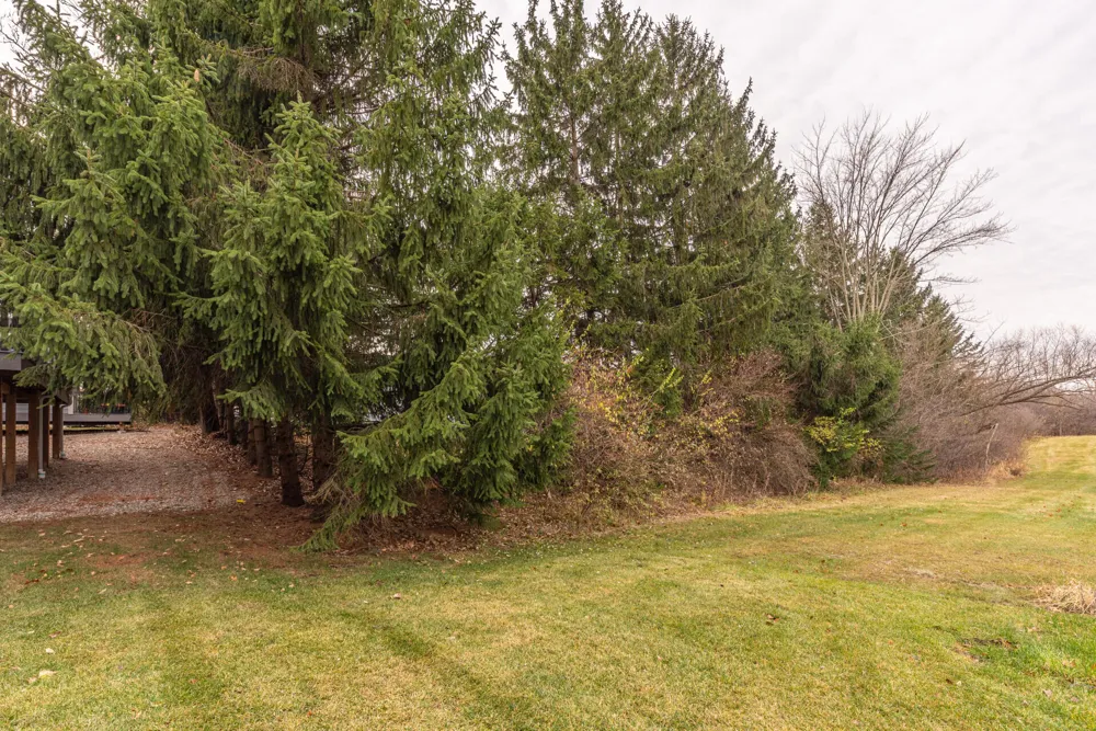 7034 Black Cherry Lane Saline, MI 48176