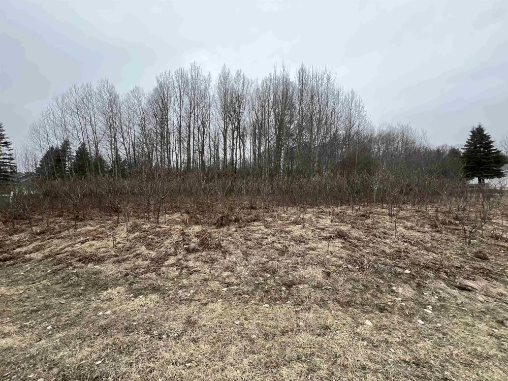 Crestview Drive Clam Lake Township, MI 49601