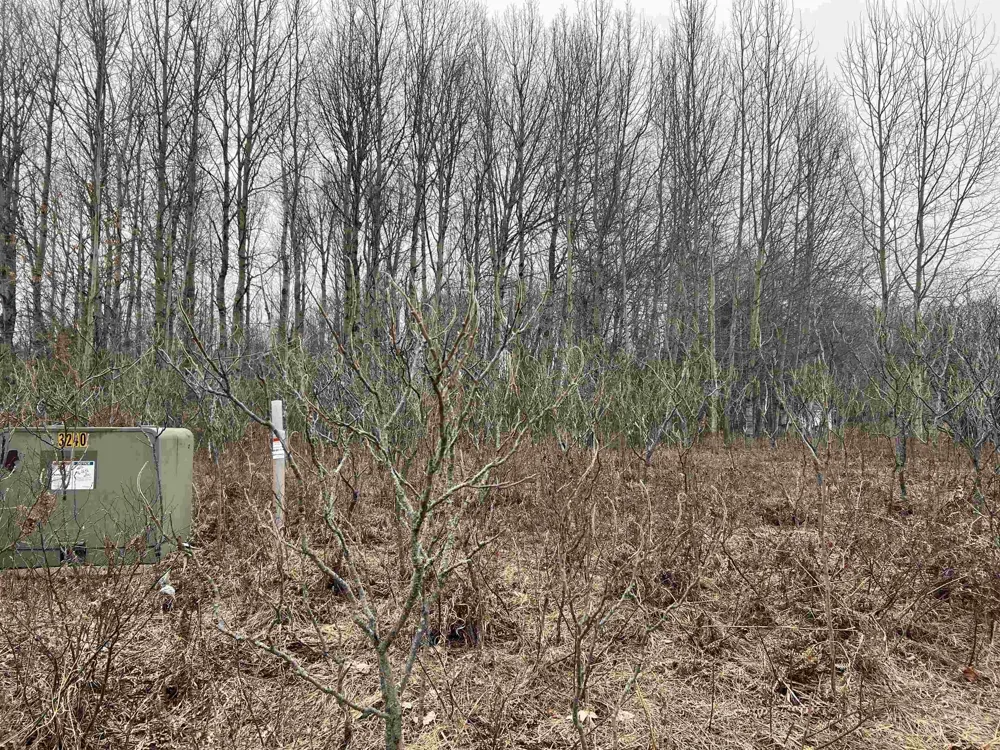 Crestview Drive Clam Lake Township, MI 49601