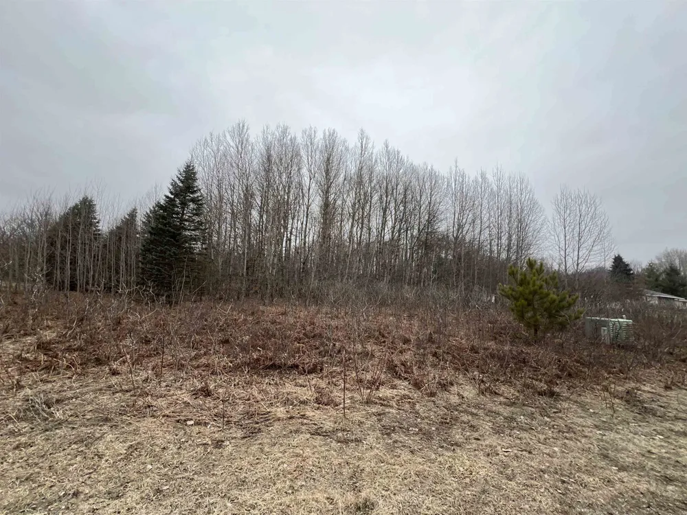 Crestview Drive Clam Lake Township, MI 49601
