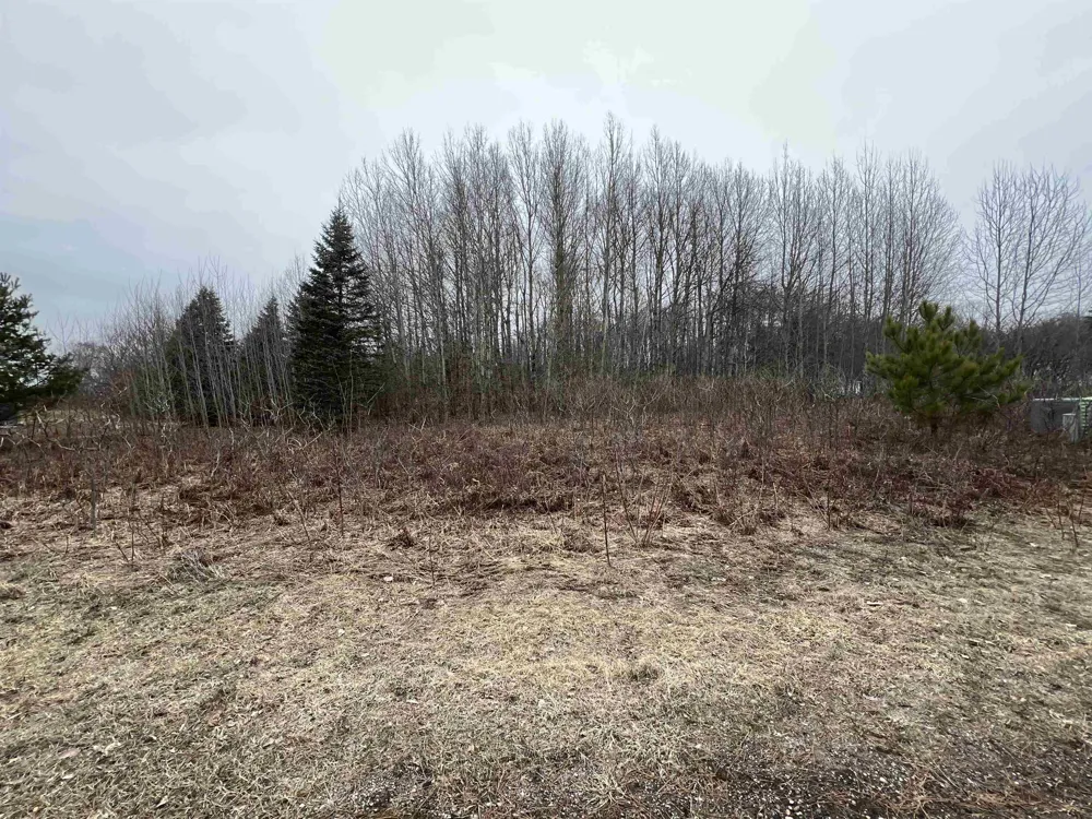 Crestview Drive Clam Lake Township, MI 49601