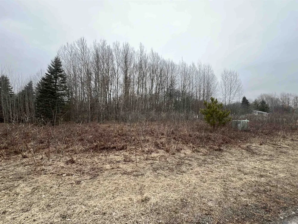 Crestview Drive Clam Lake Township, MI 49601