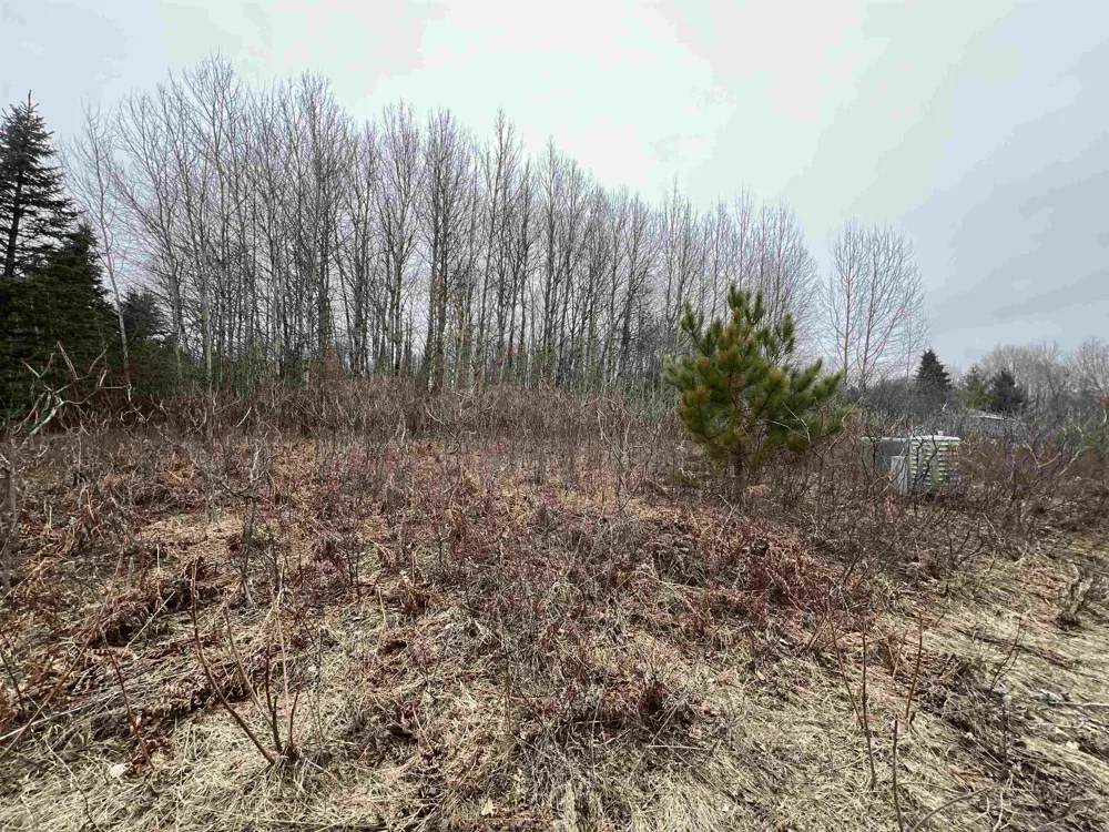 Crestview Drive Clam Lake Township, MI 49601