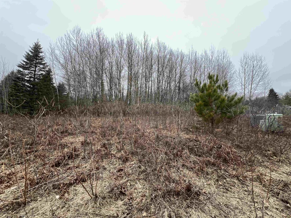 Crestview Drive Clam Lake Township, MI 49601