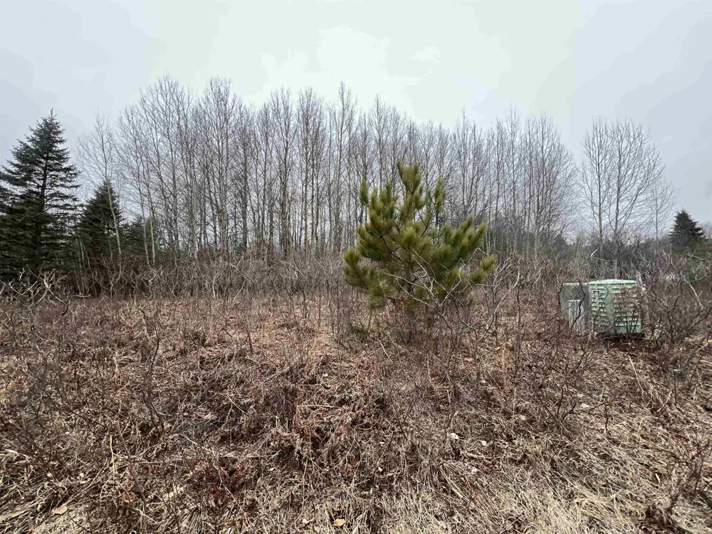 Crestview Drive Clam Lake Township, MI 49601