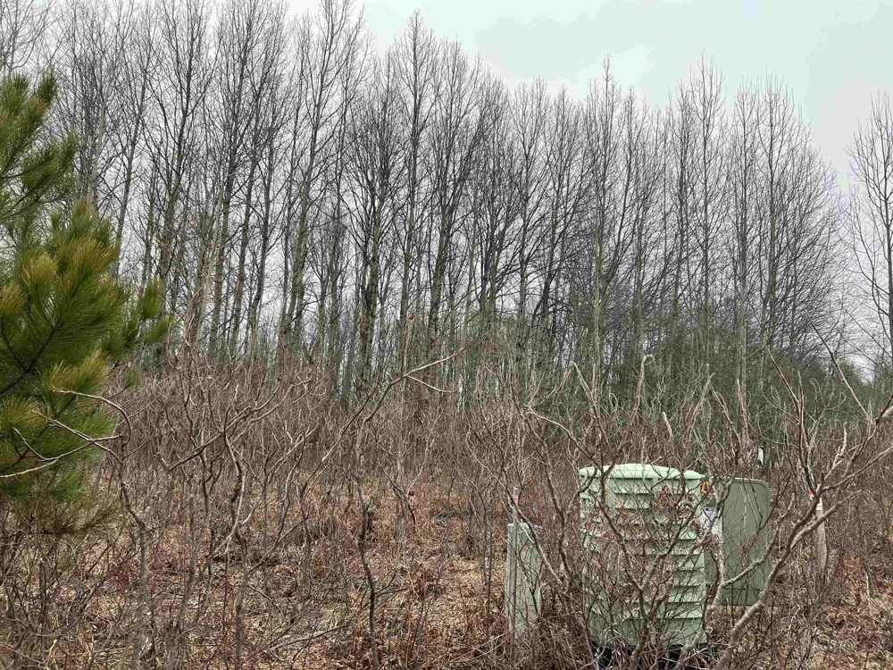 Crestview Drive Clam Lake Township, MI 49601