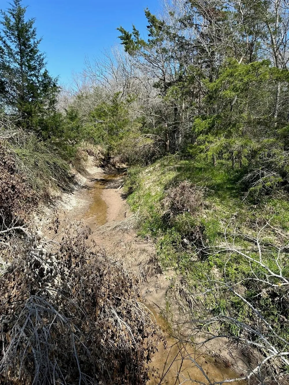 Mustang Loop Lane Madisonville, TX 77864