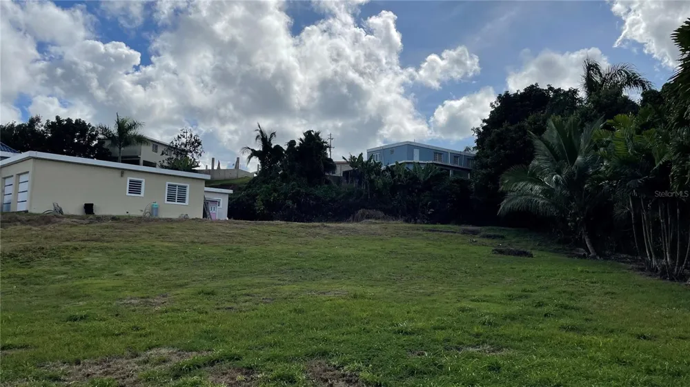 CANABONCITO STRD 172 KM7.5 Caguas, PR 00725