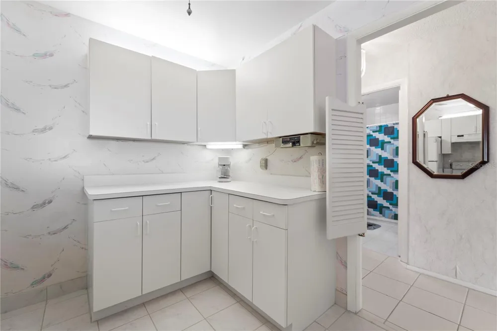 100 BLUFF VIEW DRIVE #609A Belleair Bluffs, FL 33770