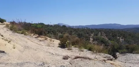 Trail