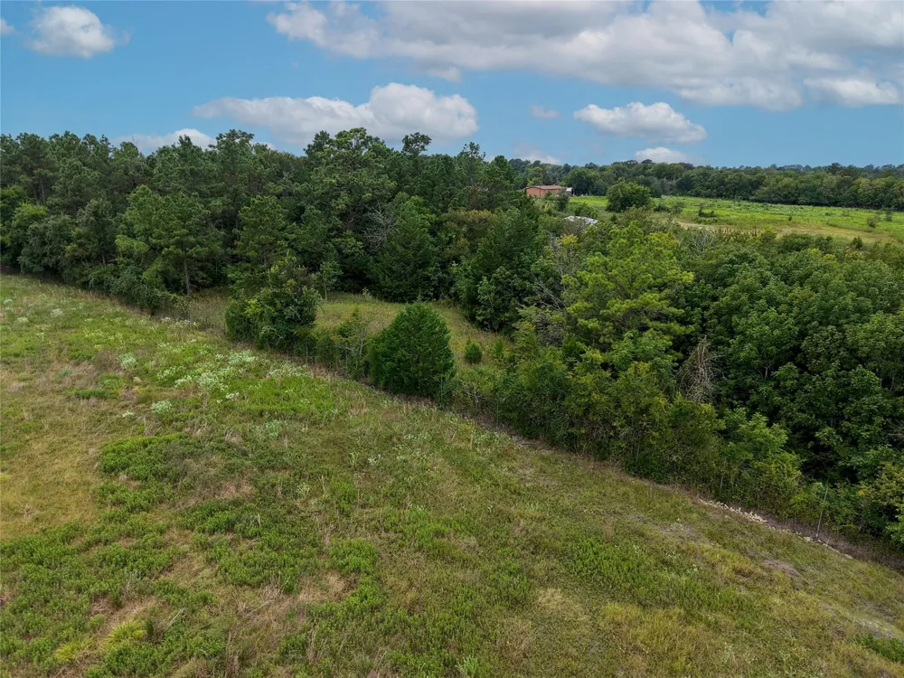Fm 2819 Anderson, TX 77830