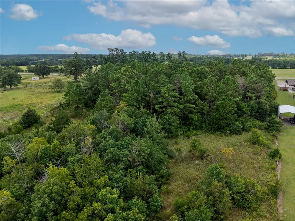 FM 2819 Anderson, TX 77830