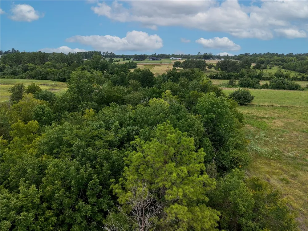 FM 2819 Anderson, TX 77830