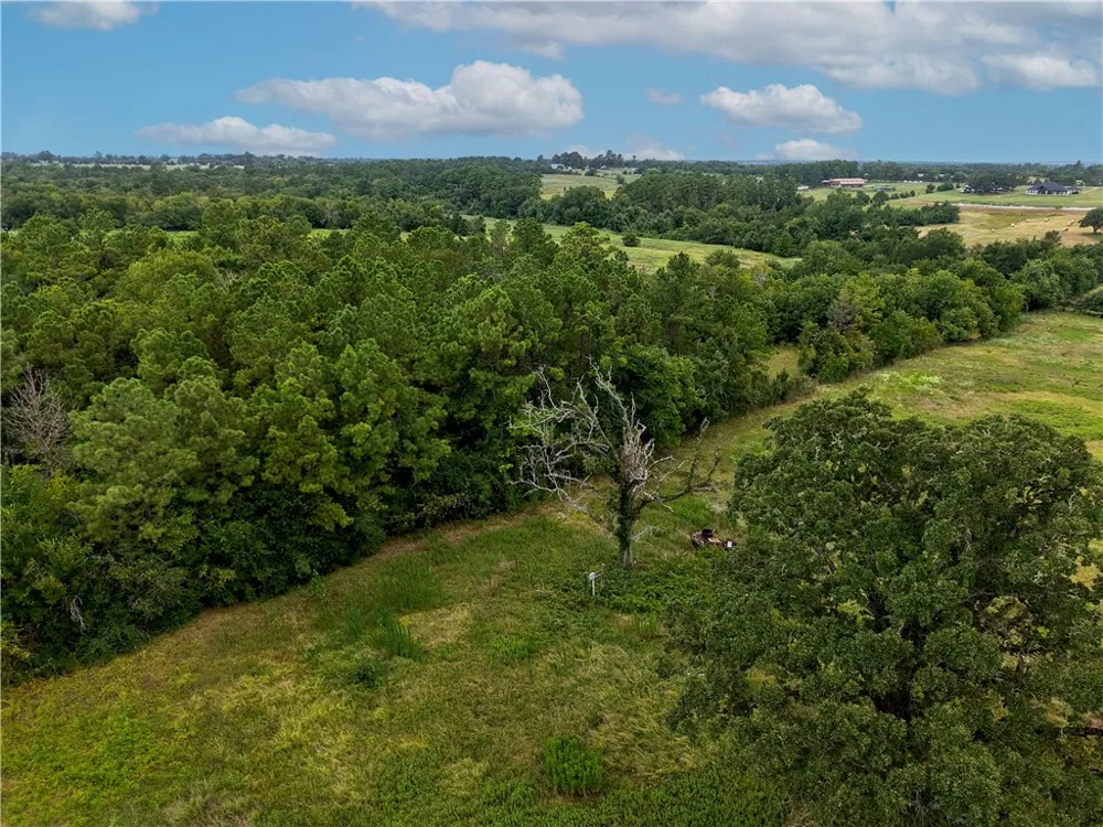 FM 2819 Anderson, TX 77830
