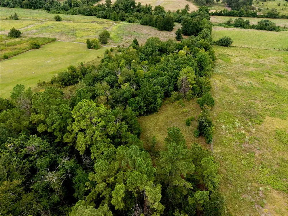 FM 2819 Anderson, TX 77830