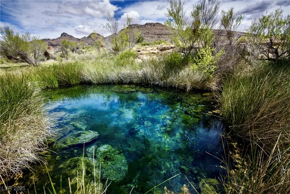 5770 S Peterson Road Amargosa Valley, NV 89020