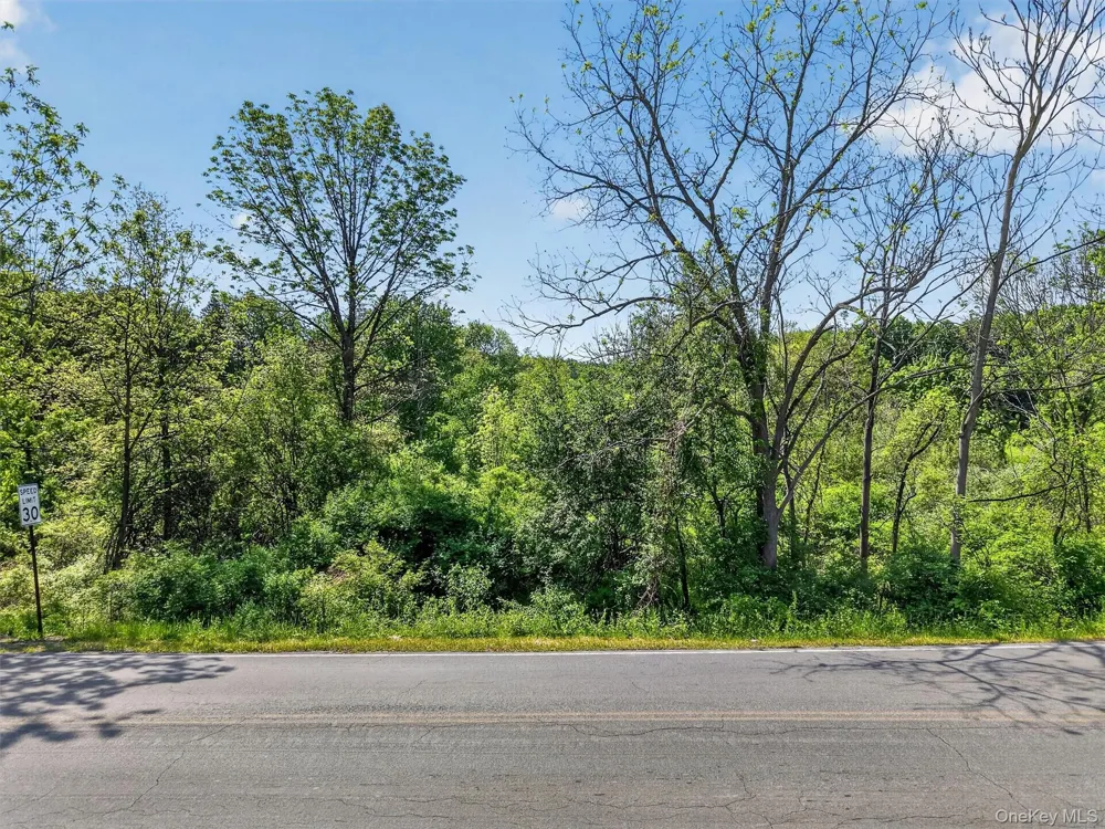 Moore's Hill Road New Windsor, NY 12553
