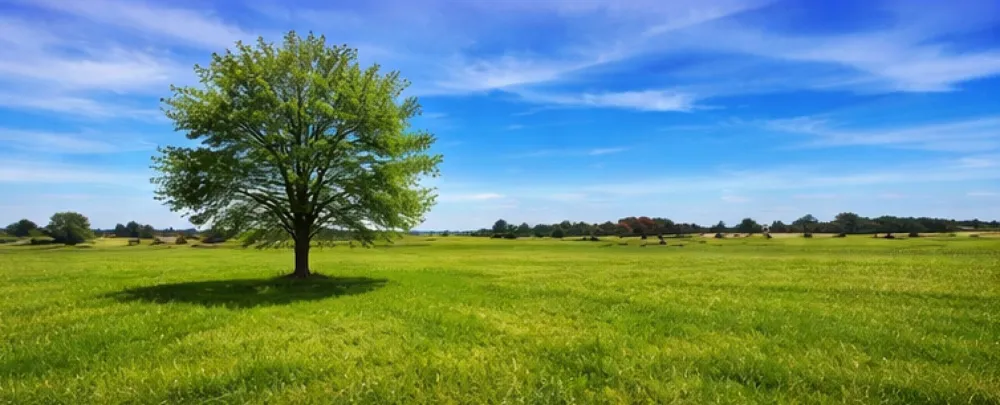 2619 Freedom Court Tolar, TX 76476