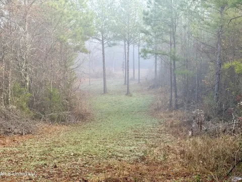 960 Old 51 Road