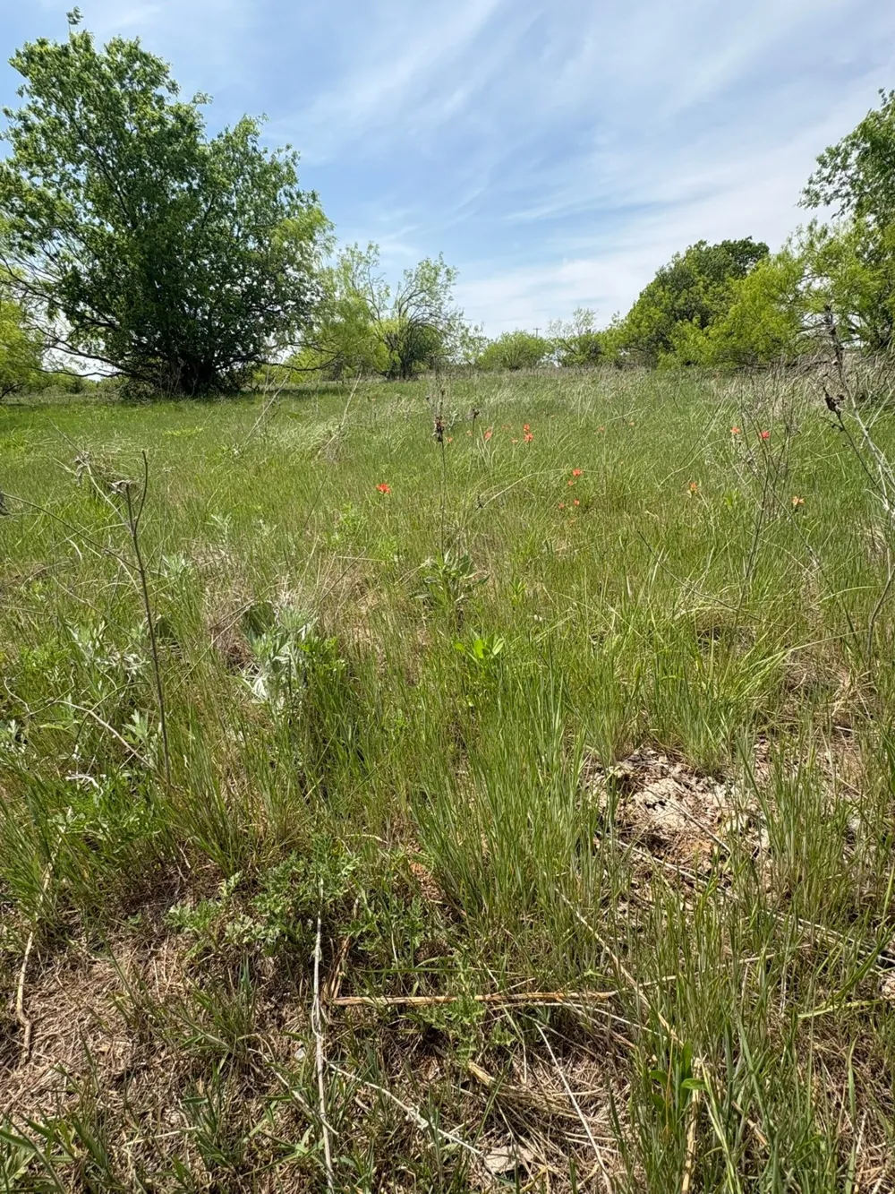 Causeway Road Jacksboro, TX 76458