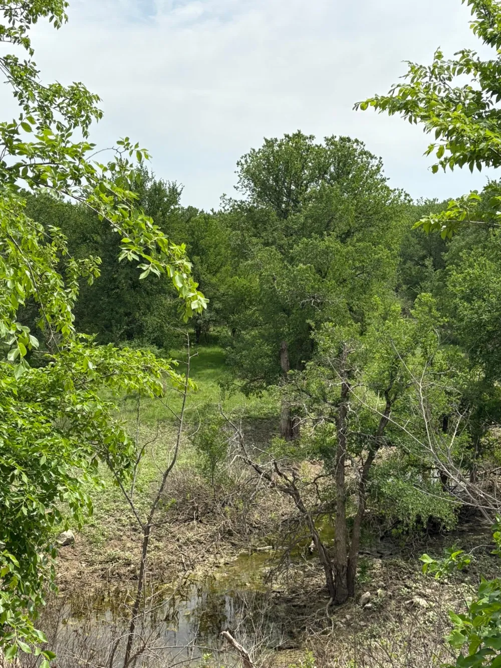 Causeway Road Jacksboro, TX 76458