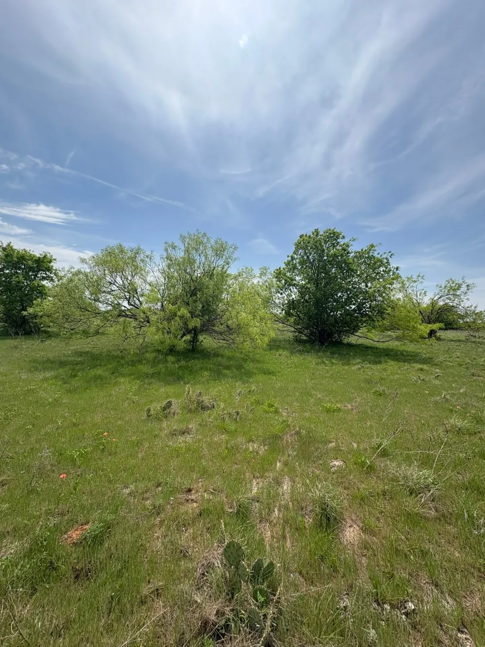 Causeway Road Jacksboro, TX 76458