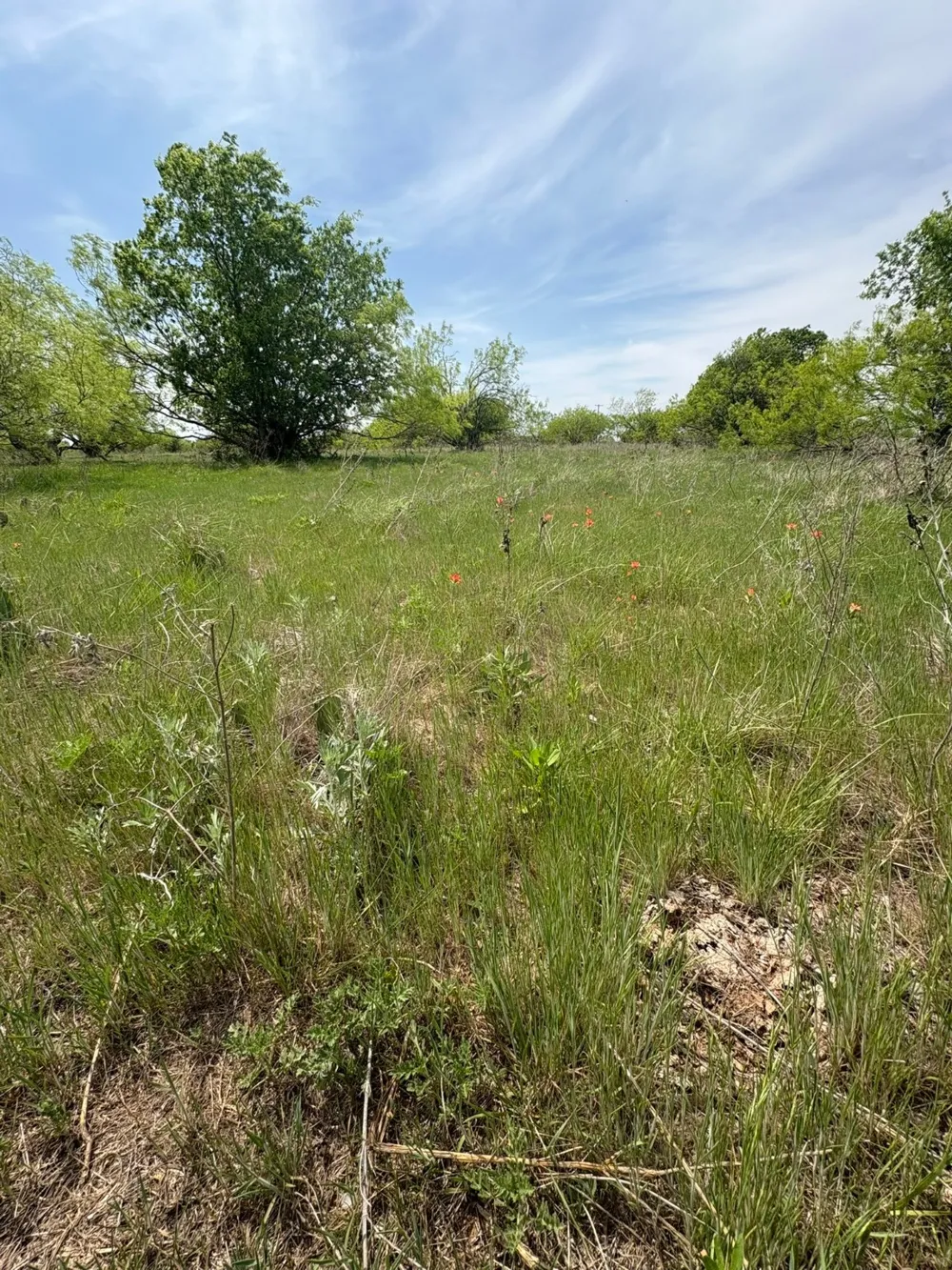 Causeway Road Jacksboro, TX 76458