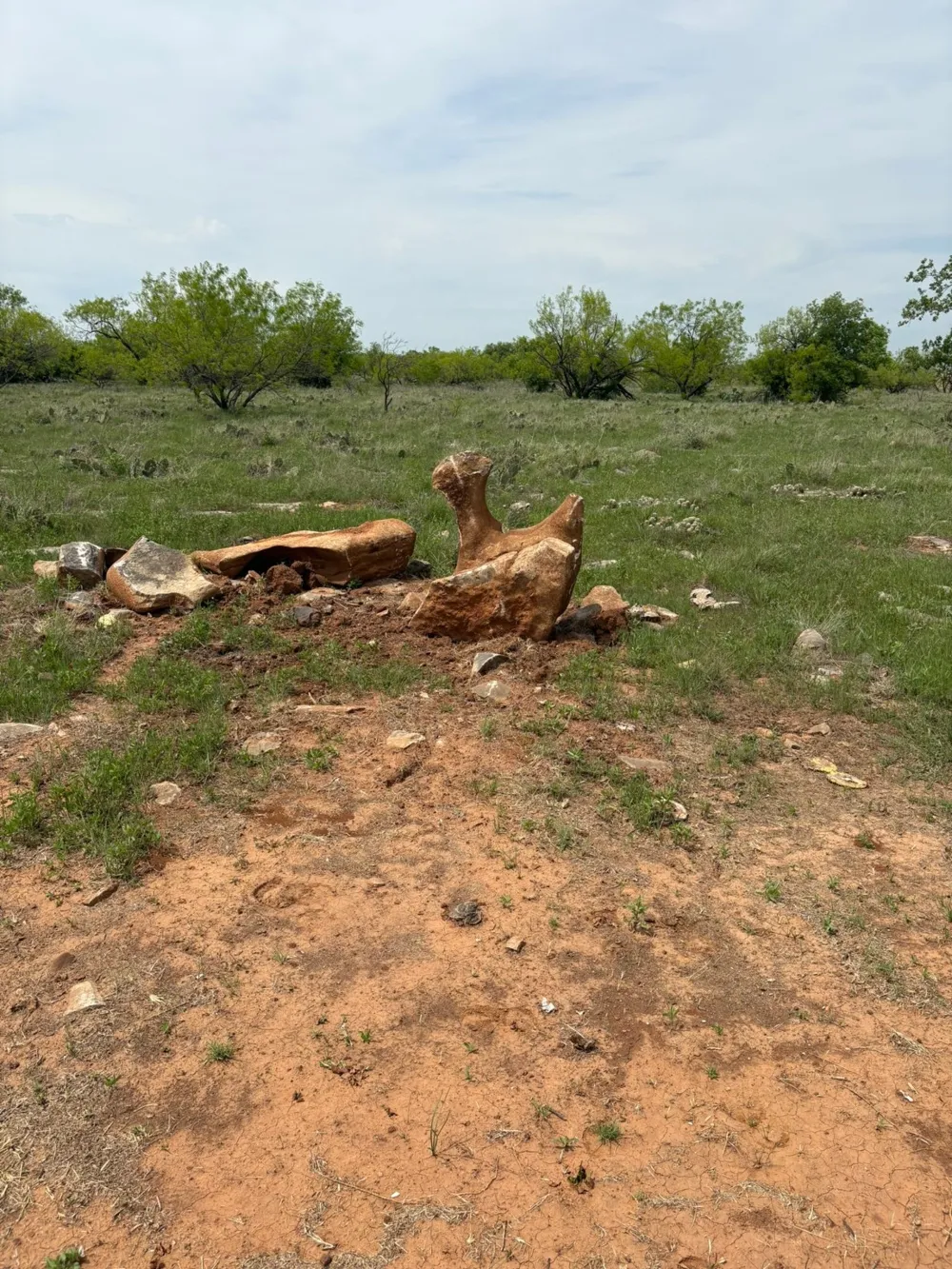 Causeway Road Jacksboro, TX 76458