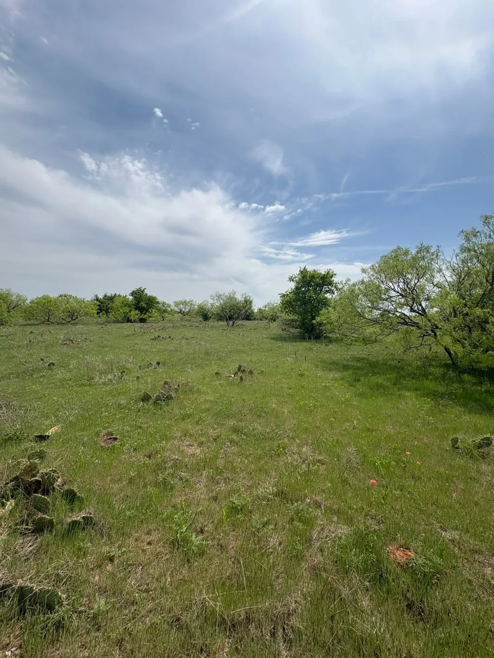 Causeway Road Jacksboro, TX 76458
