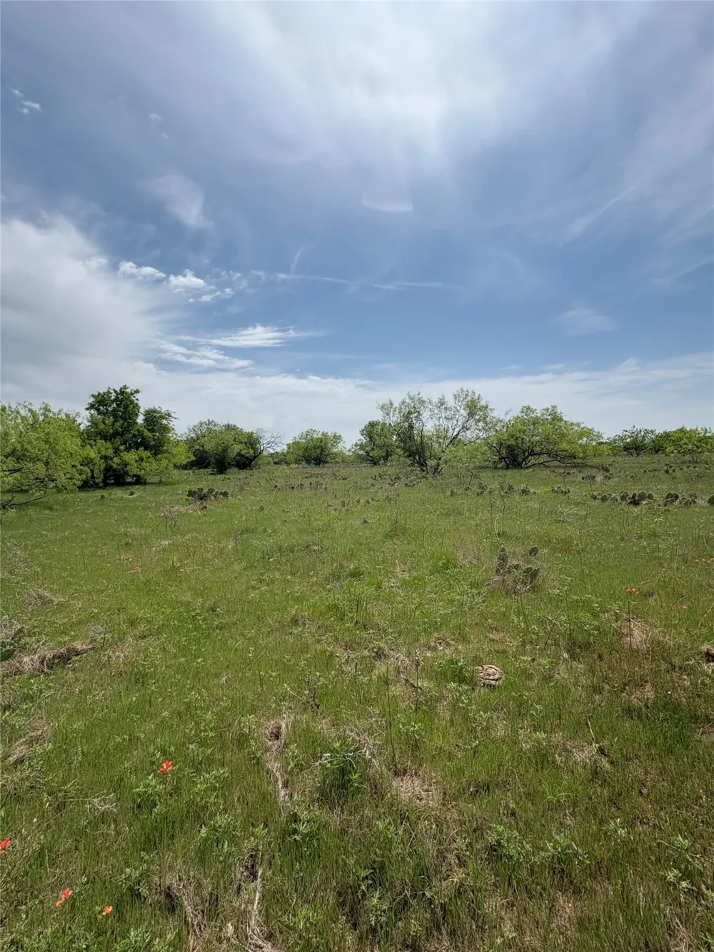 Causeway Road Jacksboro, TX 76458