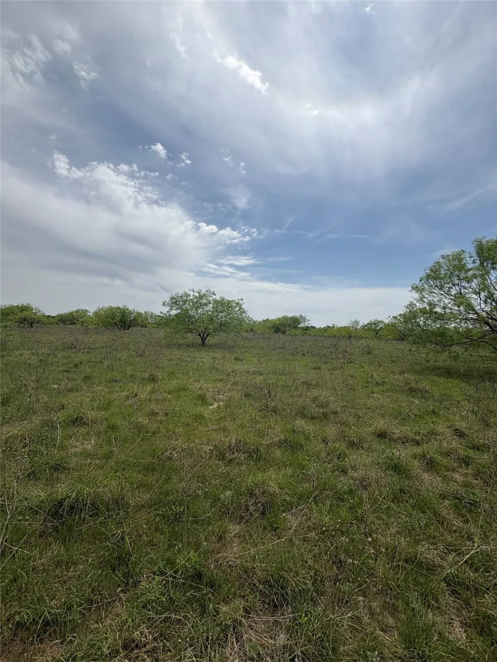 Causeway Road Jacksboro, TX 76458
