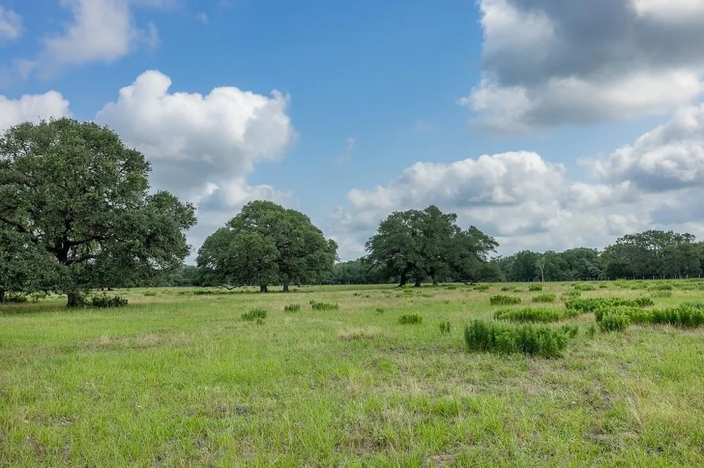1561 County Road 154 Weimar, TX 78934