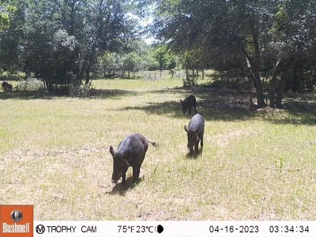 1561 County Road 154 Weimar, TX 78934