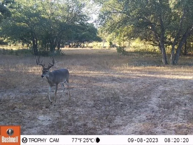 1561 County Road 154 Weimar, TX 78934