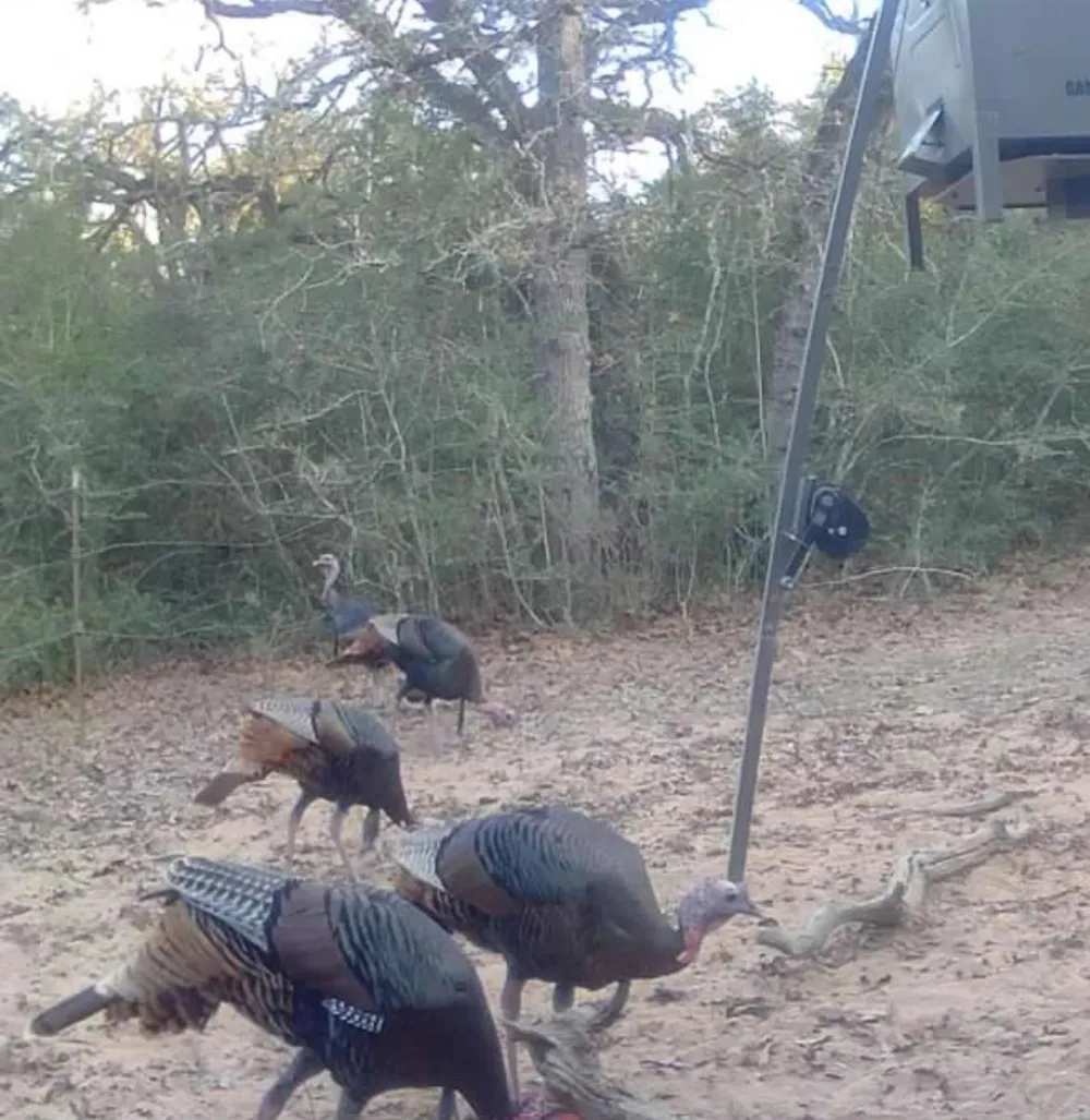 1561 County Road 154 Weimar, TX 78934