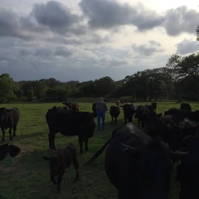 1561 County Road 154 Weimar, TX 78934