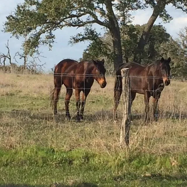 1561 County Road 154 Weimar, TX 78934