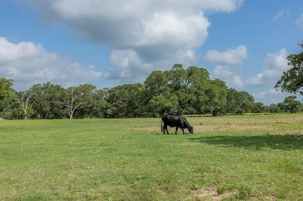 1561 County Road 154 Weimar, TX 78934