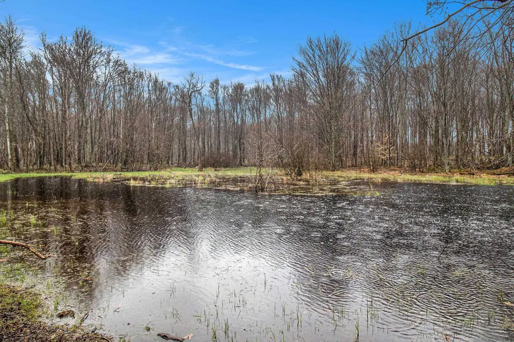 8110 Ames Road Bear Lake Township, MI 49614