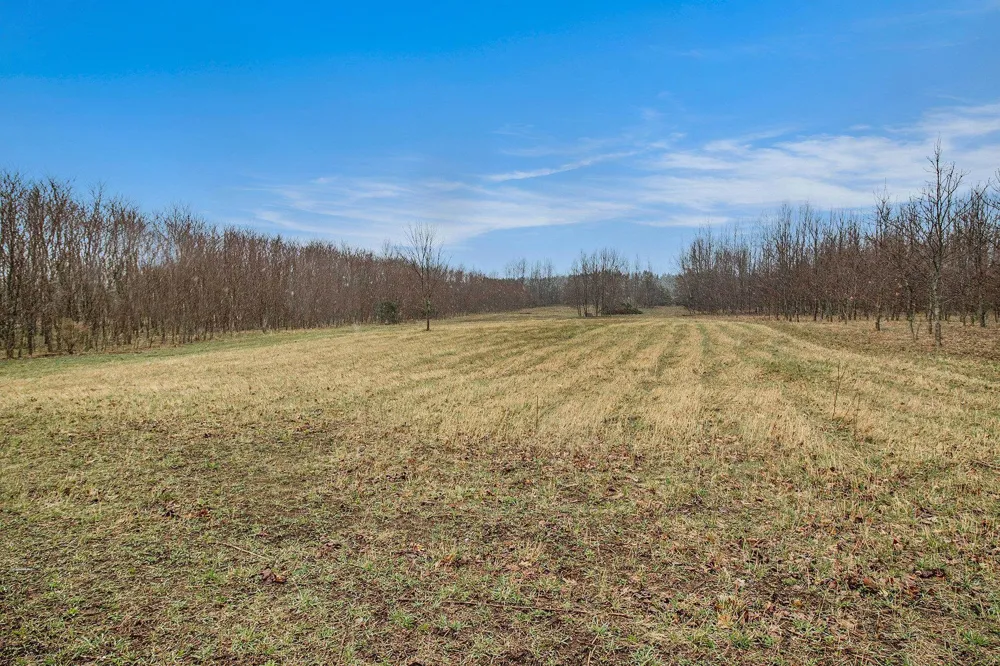 8110 Ames Road Bear Lake Township, MI 49614